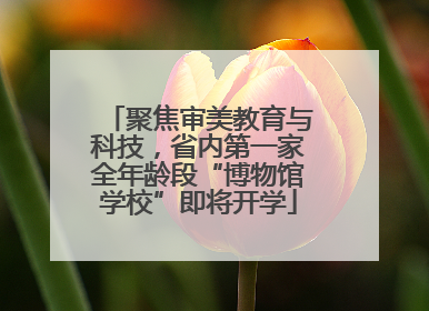 聚焦审美教育与科技，省内第一家全年龄段“博物馆学校”即将开学