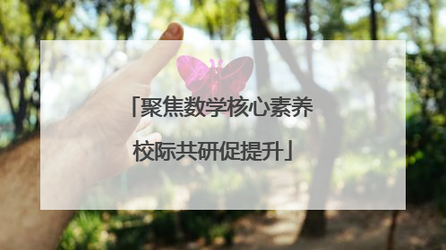 聚焦数学核心素养 校际共研促提升