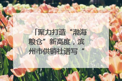 聚力打造“渤海粮仓”新高度，滨州市供销社谱写“三夏”丰收乐章