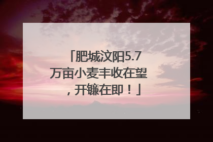 肥城汶阳5.7万亩小麦丰收在望，开镰在即！