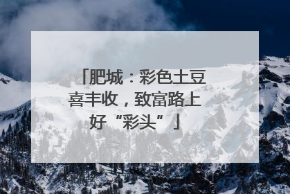 肥城：彩色土豆喜丰收，致富路上好“彩头”