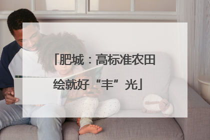 肥城：高标准农田绘就好“丰”光