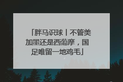 胖马识球丨不管美加墨还是西葡摩，国足唯留一地鸡毛