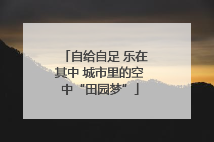 自给自足 乐在其中 城市里的空中“田园梦”