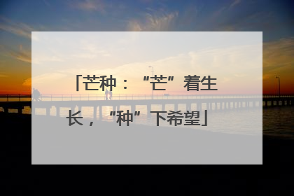 芒种：“芒”着生长，“种”下希望