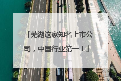 芜湖这家知名上市公司，中国行业第一！