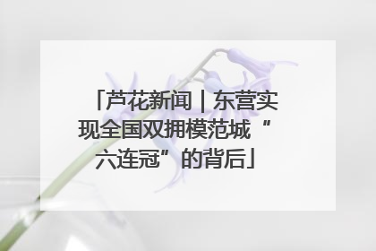芦花新闻|东营实现全国双拥模范城“六连冠”的背后