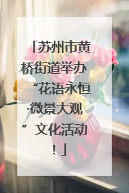 苏州市黄桥街道举办“花语永恒·微景大观”文化活动！