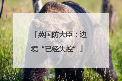 英国防大臣：边境“已经失控”