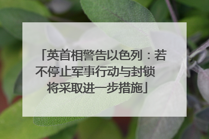 英首相警告以色列：若不停止军事行动与封锁 将采取进一步措施