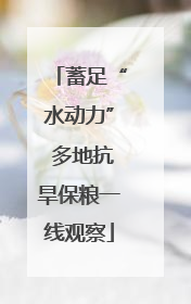 蓄足“水动力” 多地抗旱保粮一线观察