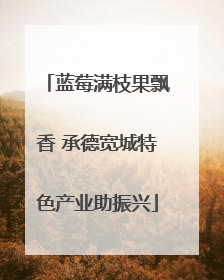蓝莓满枝果飘香 承德宽城特色产业助振兴
