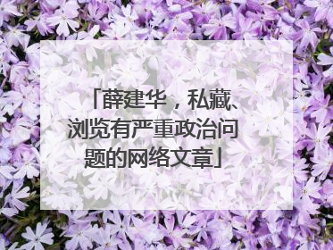 薛建华，私藏、浏览有严重政治问题的网络文章