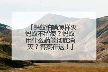蚂蚁怕啥怎样灭蚂蚁不留痕？蚂蚁用什么药能彻底消灭？答案在这！