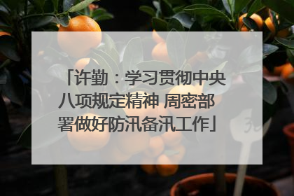 许勤：学习贯彻中央八项规定精神 周密部署做好防汛备汛工作