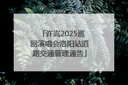 许嵩2025巡回演唱会洛阳站道路交通管理通告