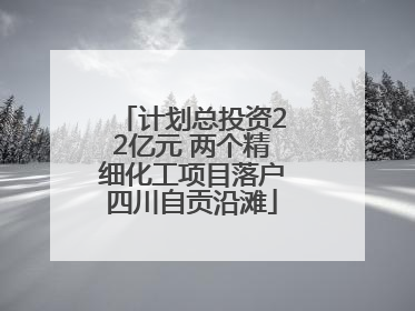 计划总投资22亿元 两个精细化工项目落户四川自贡沿滩