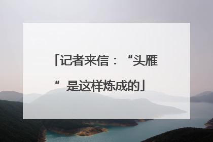 记者来信：“头雁”是这样炼成的