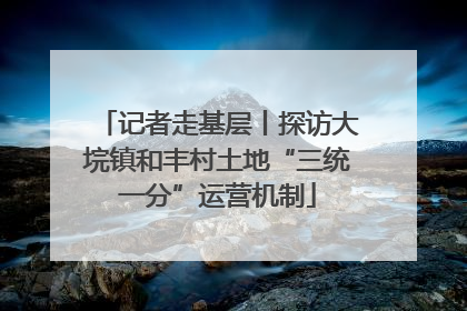 记者走基层丨探访大垸镇和丰村土地“三统一分”运营机制