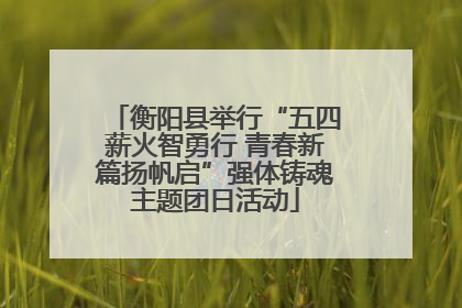 衡阳县举行“五四薪火智勇行 青春新篇扬帆启”强体铸魂主题团日活动