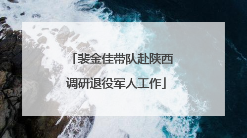 裴金佳带队赴陕西调研退役军人工作
