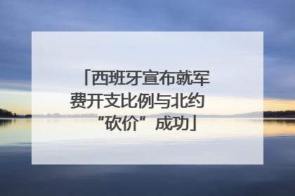 西班牙宣布就军费开支比例与北约“砍价”成功