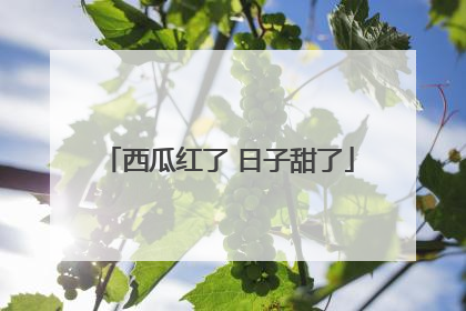 西瓜红了 日子甜了