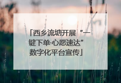 西乡流塘开展“一键下单·心愿速达”数字化平台宣传