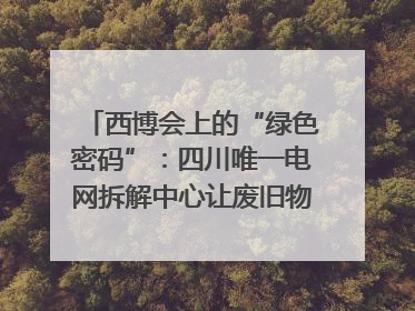 西博会上的“绿色密码”：四川唯一电网拆解中心让废旧物资“重生”｜西博寻“新”记
