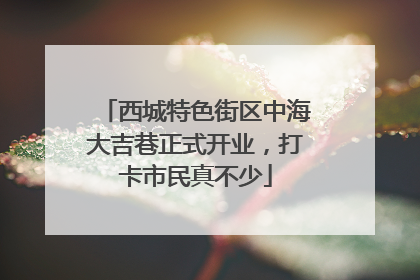 西城特色街区中海大吉巷正式开业，打卡市民真不少