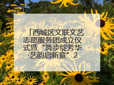 西城区文联文艺志愿服务团成立仪式暨“舞步绽芳华·艺韵启新章”2025年舞蹈大赛展演圆满举办