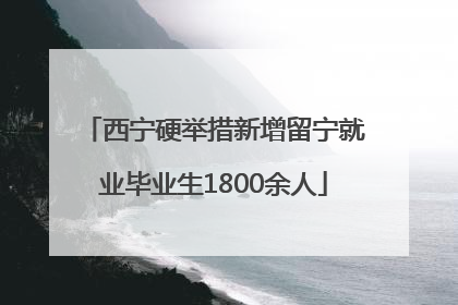 西宁硬举措新增留宁就业毕业生1800余人