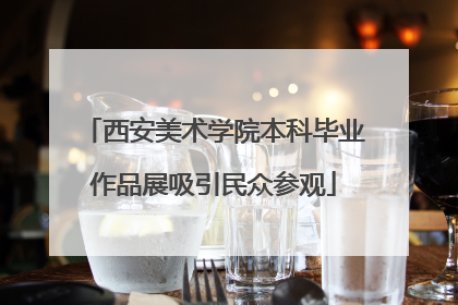 西安美术学院本科毕业作品展吸引民众参观