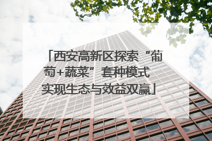 西安高新区探索“葡萄+蔬菜”套种模式 实现生态与效益双赢