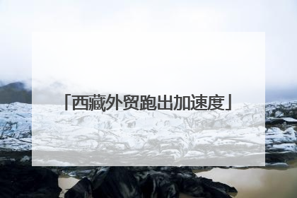 西藏外贸跑出加速度