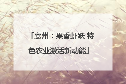 襄州：果香虾跃 特色农业激活新动能