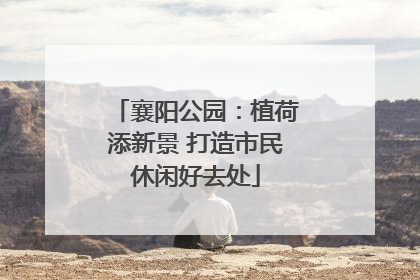 襄阳公园：植荷添新景 打造市民休闲好去处