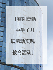 襄阳高新一中学子开展劳动实践教育活动