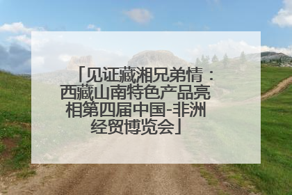 见证藏湘兄弟情：西藏山南特色产品亮相第四届中国-非洲经贸博览会
