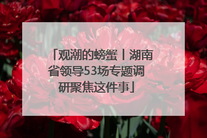 观潮的螃蟹丨湖南省领导53场专题调研聚焦这件事