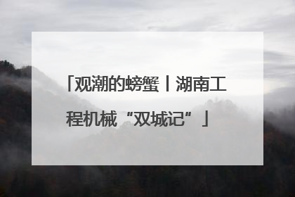 观潮的螃蟹丨湖南工程机械“双城记”
