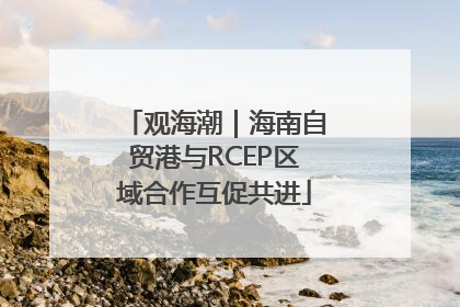 观海潮｜海南自贸港与RCEP区域合作互促共进