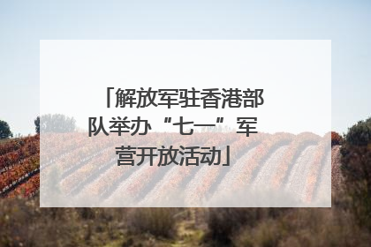 解放军驻香港部队举办“七一”军营开放活动