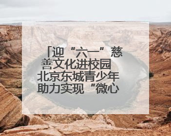 迎“六一”慈善文化进校园 北京东城青少年助力实现“微心愿”