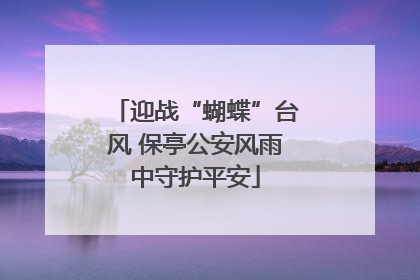 迎战“蝴蝶”台风 保亭公安风雨中守护平安