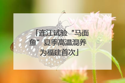 连江试验“马面鱼”夏季高温混养 为福建首次