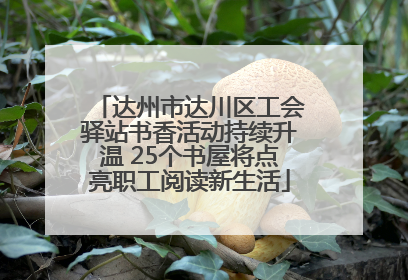 达州市达川区工会驿站书香活动持续升温 25个书屋将点亮职工阅读新生活