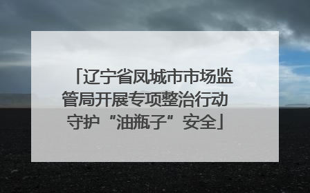 辽宁省凤城市市场监管局开展专项整治行动守护“油瓶子”安全
