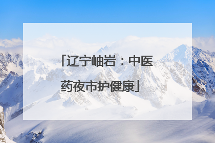 辽宁岫岩：中医药夜市护健康