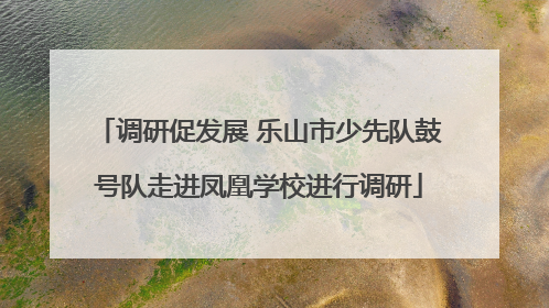调研促发展 乐山市少先队鼓号队走进凤凰学校进行调研